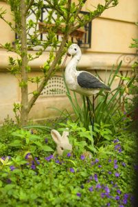 A garden loved by children