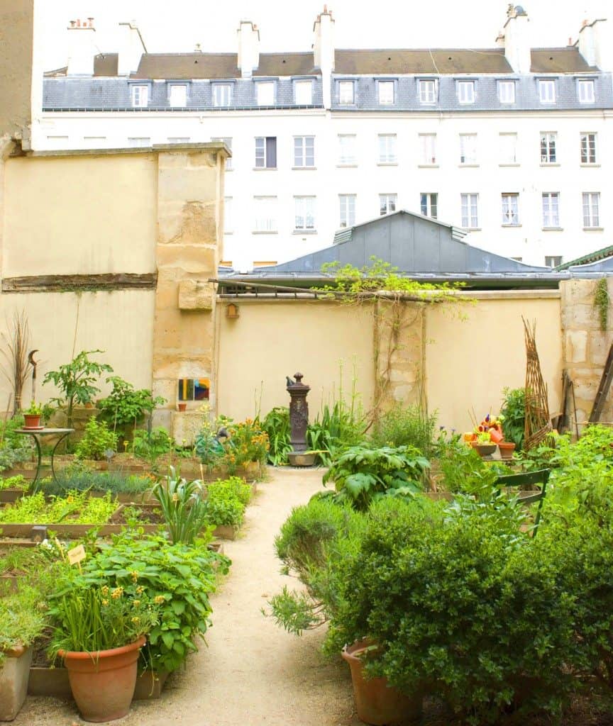 Potagers des oiseaux à proximité du marché