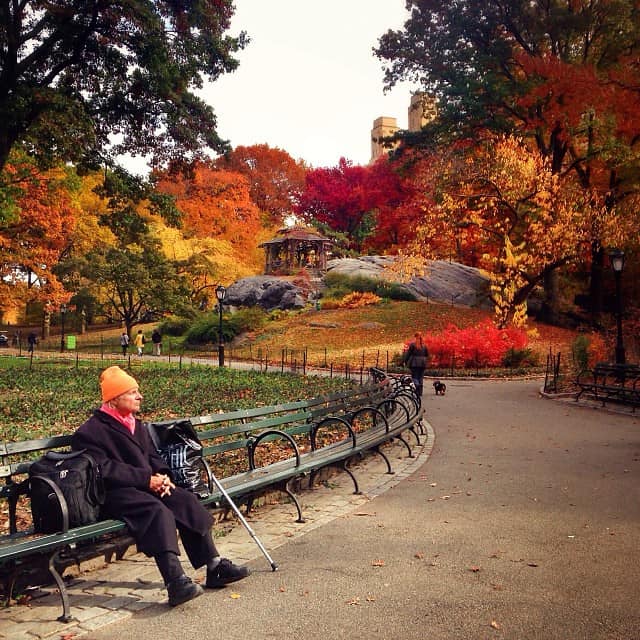 Couleurs automnales dans un parc new-yorkais