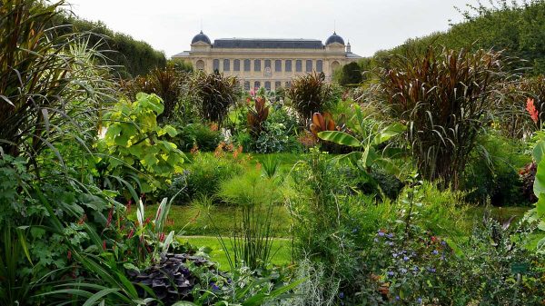 Jardin des Plantes de Paris