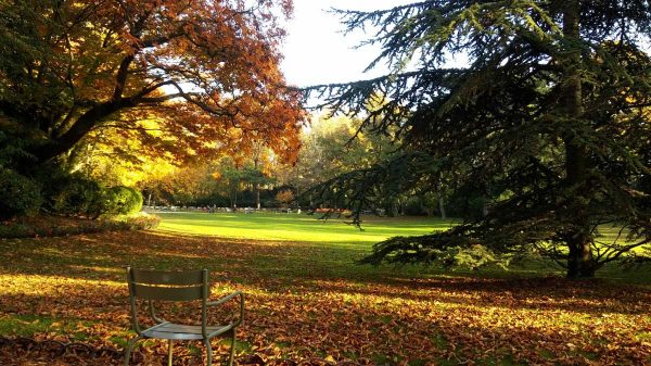 Parks and gardens of Paris, a green setting in the capital